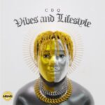 CDQ Vibes and Lifestyle album download