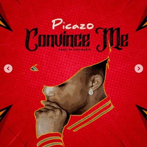Picazo – Convince Me 1