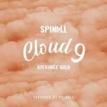 Spinall Cloud 9