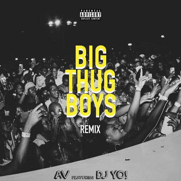 Big Thug Boys Remix by AV ft. DJ Yo