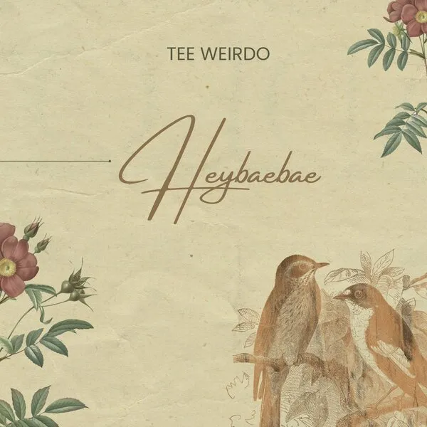 Tee Weirdo – Heybaebae